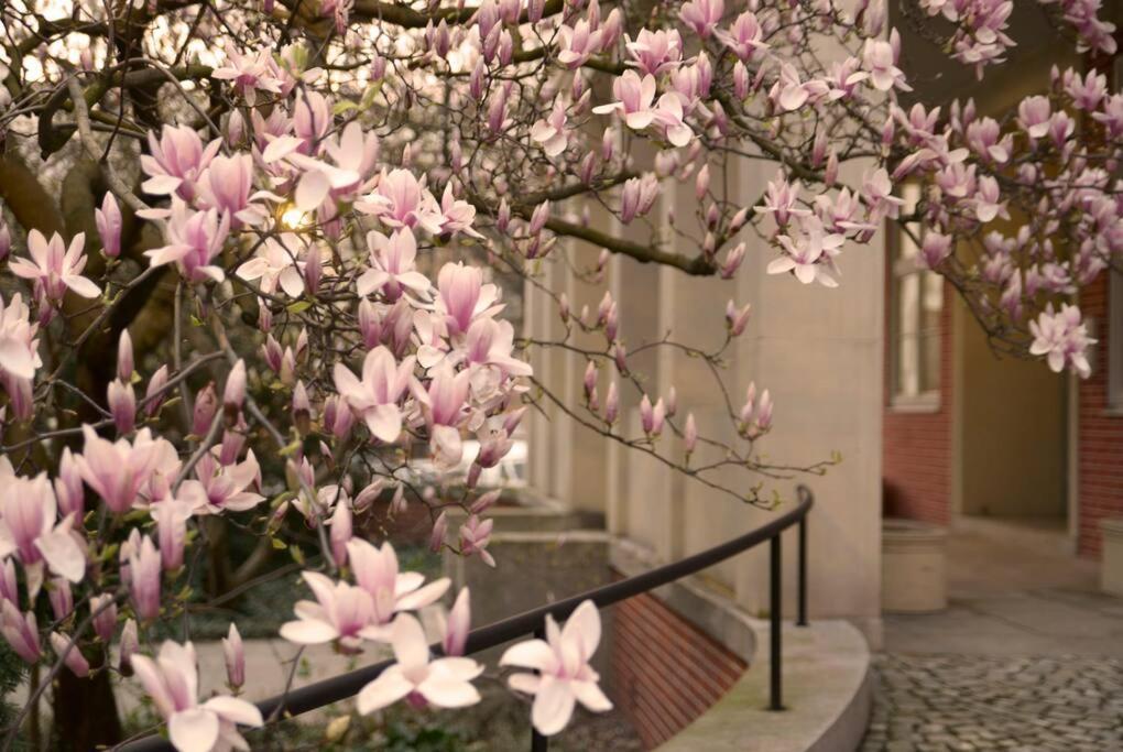 Elegant Apartment In The City Center วรอตซวาฟ ภายนอก รูปภาพ